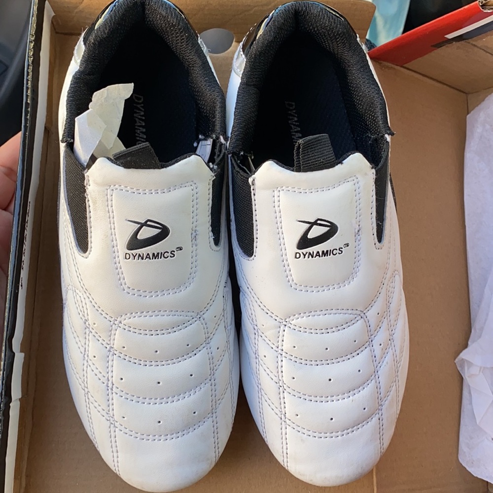 Dynamics Karate shoes